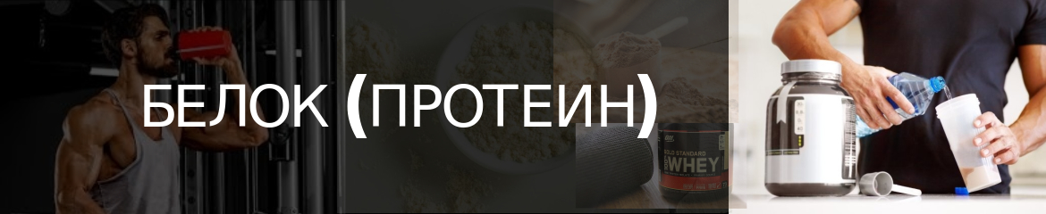 Белок (протеин)