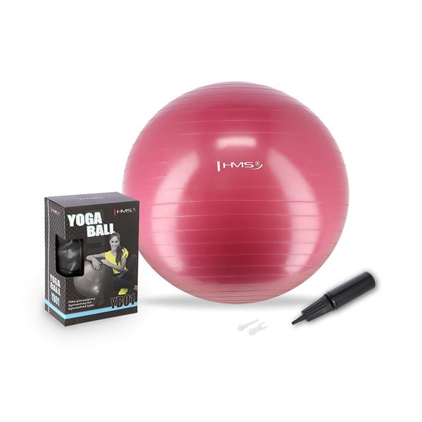 HMS YB01 JAUNA 65CM PLUM GYM