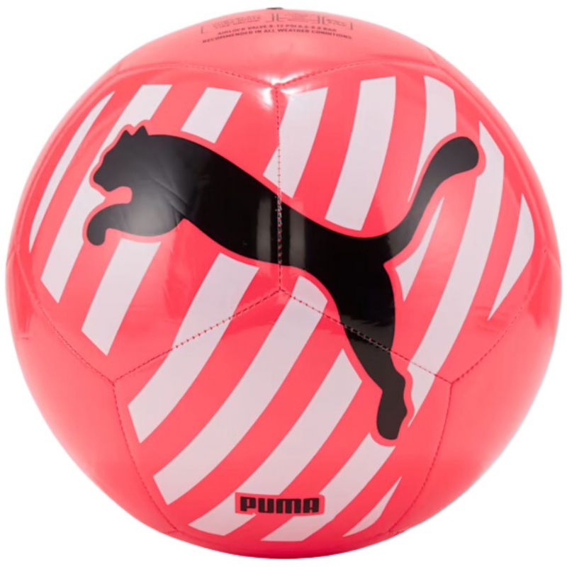 Futbola bumba-Puma Big Cat futbols 83994