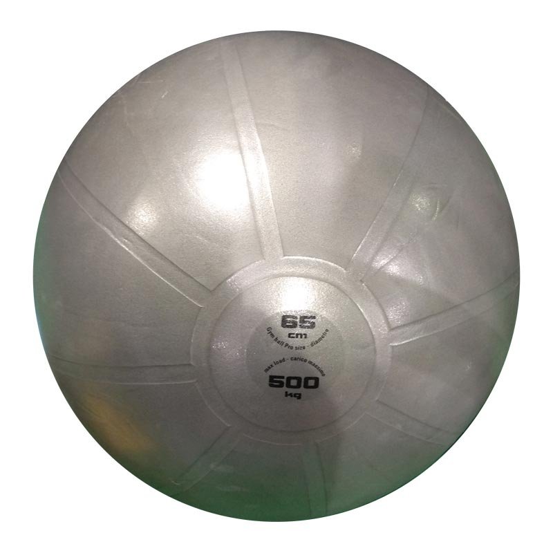 Vingrošanas bumba /Gym ball TOORX PRO