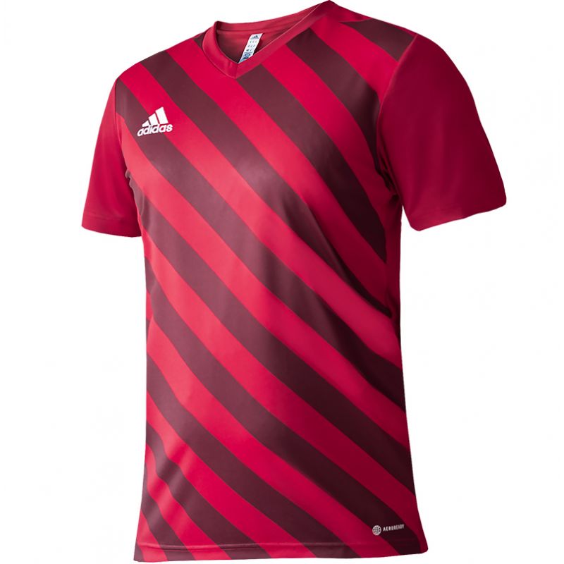 Adidas Entrada 22 Graphic Jersey Jr