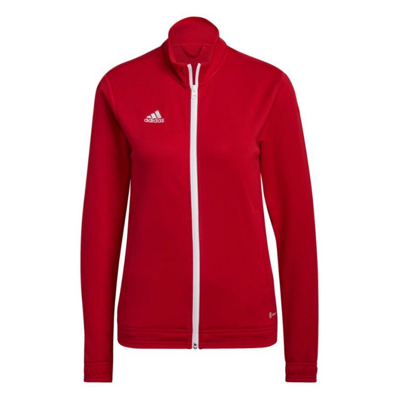 Adidas Entrada 22 kāpurķēde W H57562