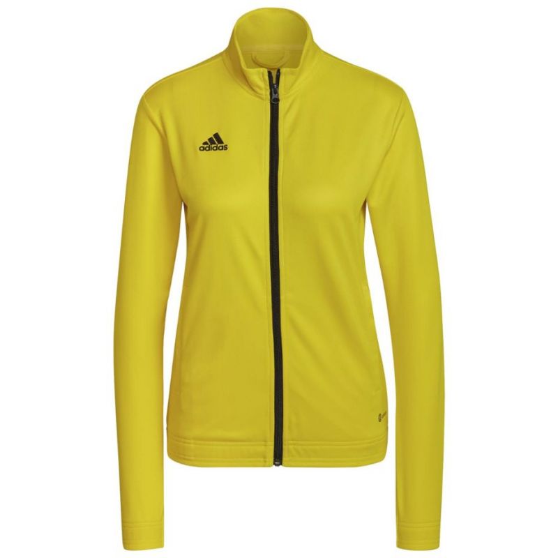 Adidas Entrada 22 kāpurķēde W HI2137
