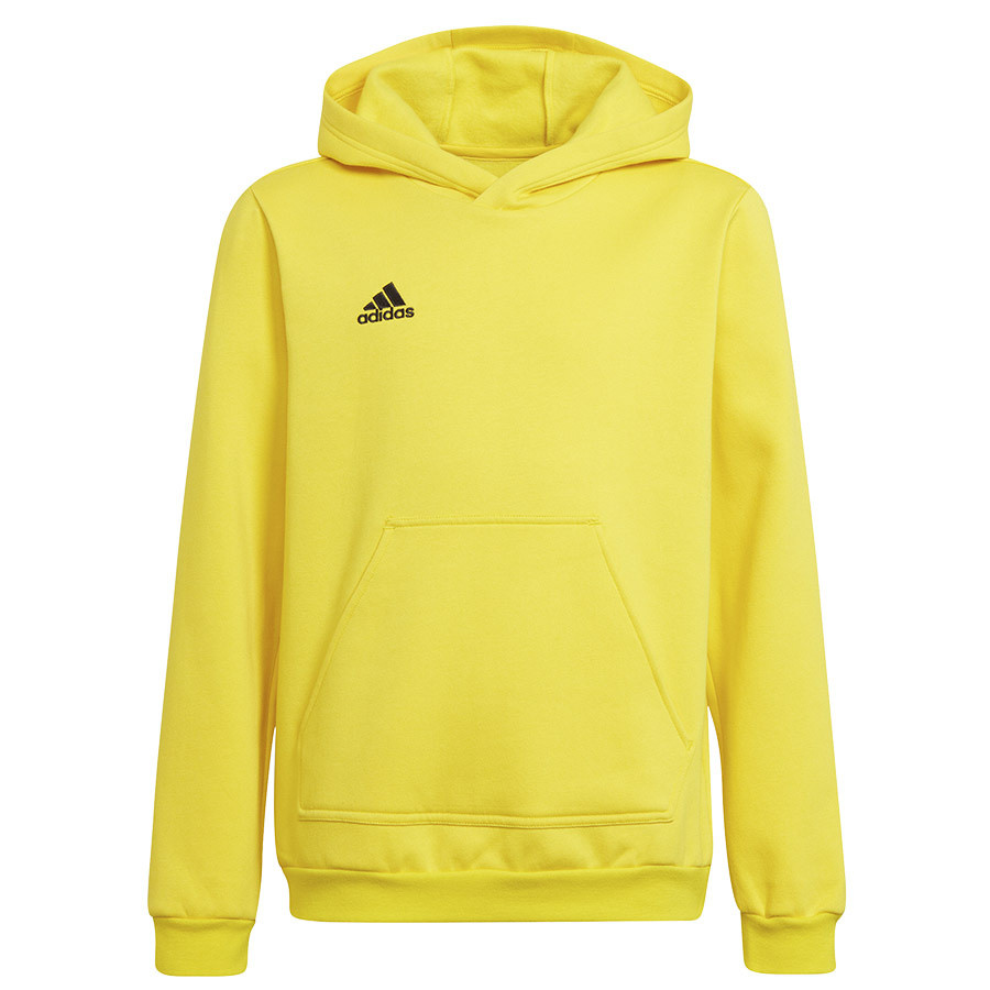 Adidas Entrada krekls 22 Hoody Y
