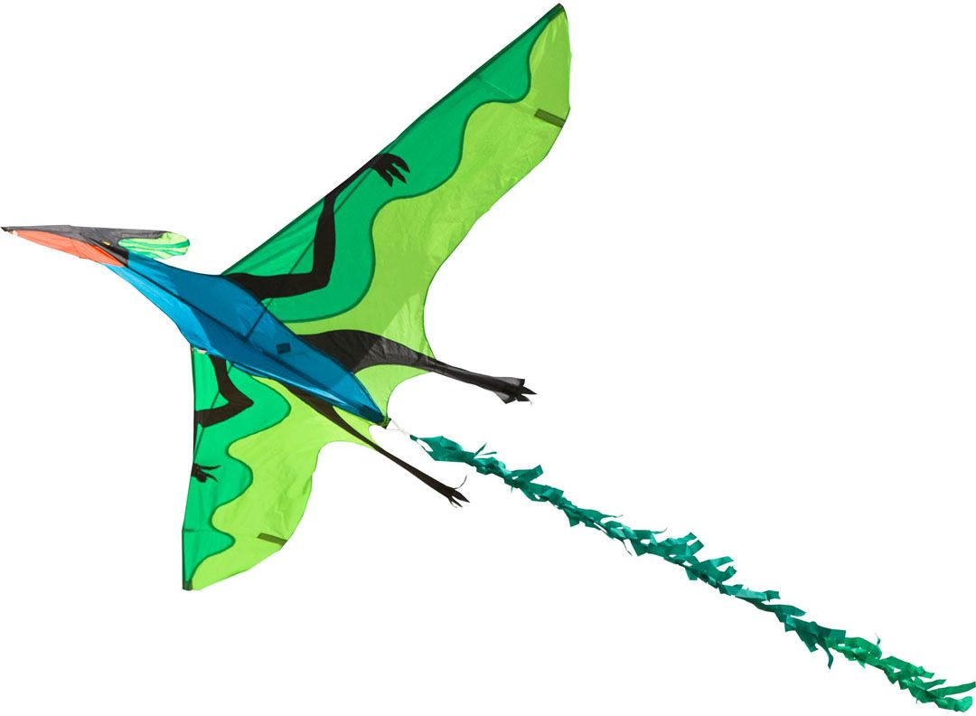 HQ Invento Flyling Dinosaur 3D vienas