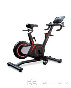 Spineris BH Fitness Osaka