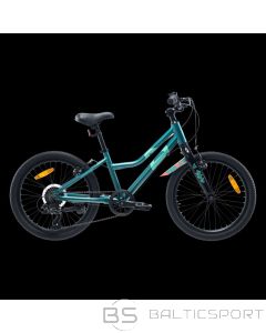 Radvik Bērnu velosipēds Viking 20 92800597756 (20")