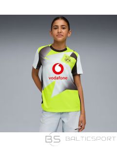 Puma Borussia Dortmund Away JSY Replica T-shirt 780108-02 / 140 cm / gray