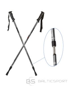 Enero Classic Trekking Poles Silver