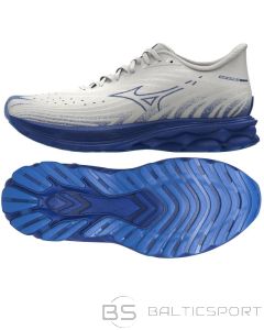 Mizuno Кроссовки Wave Skyrise 6 M J1GC250954 (45)