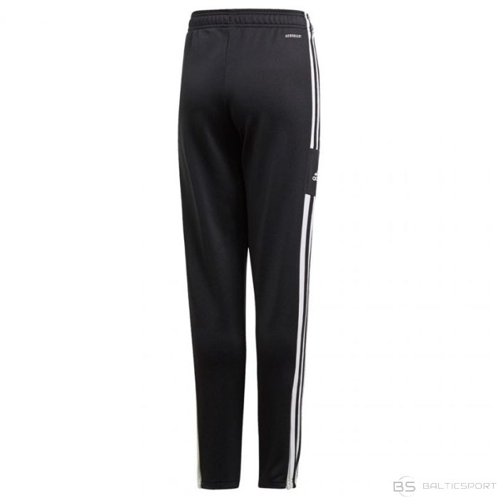 Adidas Squadra 21 Training Youth Jr GK9553 bikses (176cm)