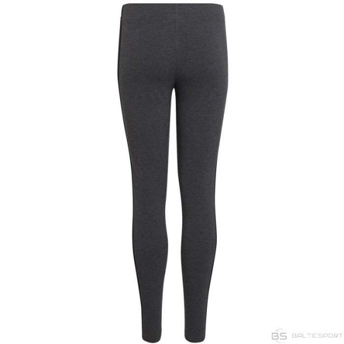 Adidas 3S Leg Jr HB7937 (170 см)