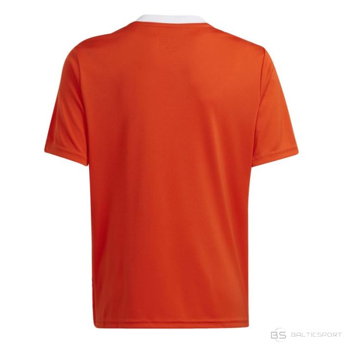 Adidas Футболка Team Icon 23 Jr IC1254 (140)