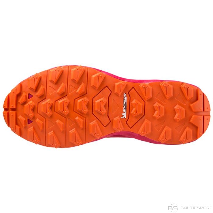 Mizuno Wave Daichi 7 GTX W shoes J1GK225672 (37)