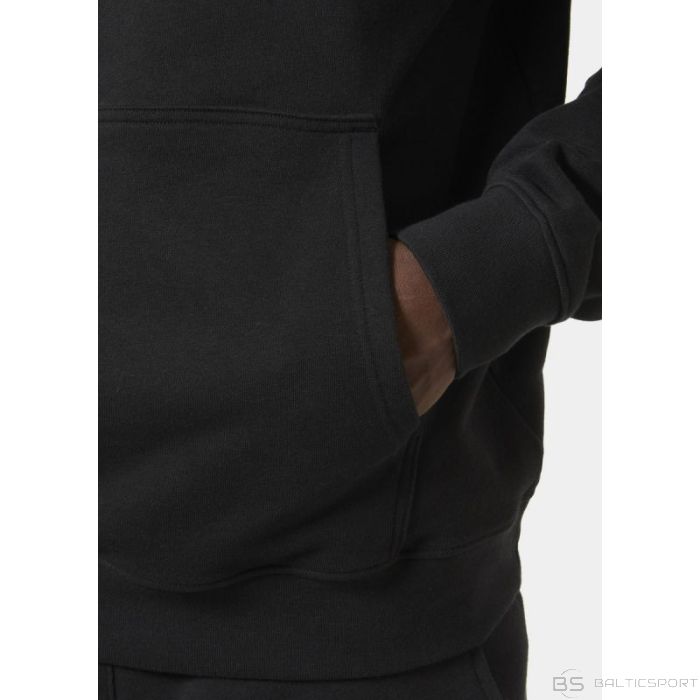 Helly Hansen Core Graphic Sweat Hoodie M 53924 993 (2XL)