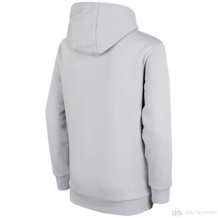 Sweatshirt 4F Jr. HJZ22 JBLD003 27S (140cm)