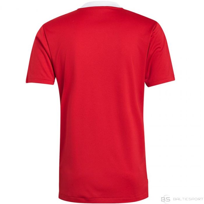 Adidas Tiro 21 treniņu krekls M GM7588 (2XL)