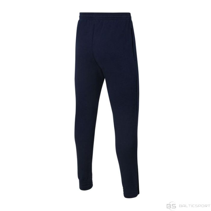 Nike Park 20 Fleece Jr CW6909-451 bikses (122 cm)