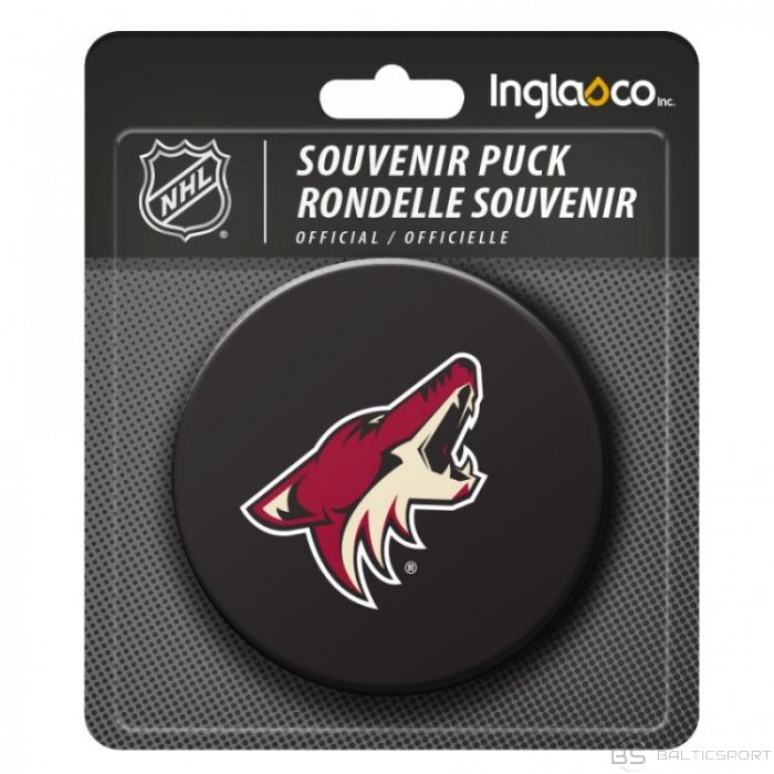 Inny Souvenir Hockey puck Inglasco NHL Basic 510AN000400 (Vancouver Canucks)