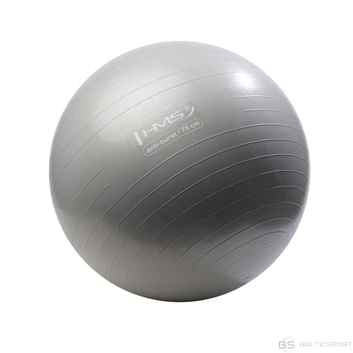 Yogas vingrošanas bumba 75cm Hms pelēka  Yoga ball 75cm
