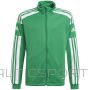 Adidas SQUADRA 21 treniņjaka Junior GP6456 / Zaļa / 176 cm