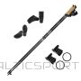 ALPIDEX nūjošanas nūju komplekts 115 cm