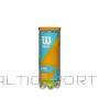 WILSON PROFILE ALL COURT TENISA BUMBIŅAS (3 BUMBU TUBS)