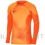 Nike Gardien IV Gaoaleeper JSY DH7967 819 / Oranža / S