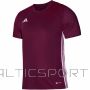 Adidas T-krekls Table 23 Jersey M IB4928 (XS)