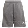 Ātrums Adidas Tiro 21 sviedri īss Junior GP8806 / Pelēka / 128 cm