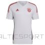 Adidas FC Bayern Training M HB0621 krekls (XXL)