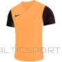 Nike Dri-Fit Tiempo Premier 2 Jr DH8389-819 T-shirt (XL (158-170cm))