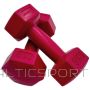 Hanteles komplekts 2x1 kg ENERO FIT