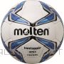 Futsal ball MOLTEN F9V1900 for training PU leather