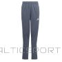 Adidas Trousers TIRO 23 Pants Junior IB8481 / gray / 140 cm