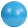 Sportech F Gym ball Anti-Burst S825760 / blue