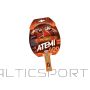 Atemi 600 rakete / /