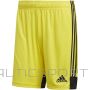 Adidas Tastigo 19 šorti M DP3249 šorti (S)