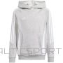 Adidas Tiro 24 Hooded Sweat Jr IR7505 sporta krekls (116 cm)