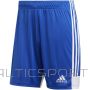 Adidas Tastigo 19 šorti M DP3682 šorti (S)