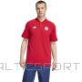 Adidas FC Bayern DNA polo shirt IT4145 / red / L