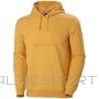 Helly Hansen Hoodie ar logotipu M 33977-364 (L)