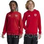 Adidas Arsenal London Jr IT4091 sporta krekls (140 cm)