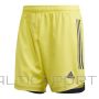 Adidas Шорты Condivo 20 M FI4578 (S (173 см))
