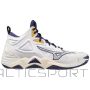Mizuno Wave Momentum 3 MID M V1GA231743 volleyball shoes (40,5)