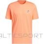 Adidas Lil Stripe Spring Break grafisks basketbola krekls ar īsām piedurknēm M IC1869 (M)