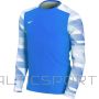 Goalkeeper jersey Nike Dry Park IV JSY LS JR CJ6072-463 (XS)