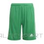 Adidas Squadra 21 Short Y Jr GN5762 (116 cm)