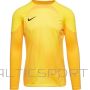 Nike Gardien IV Goalkeeper JSY M DH7967 719 goalkeeper shirt (XXL)