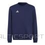 Adidas Džemperis Entrada 22 Hoody Jr H57568 (164CM)